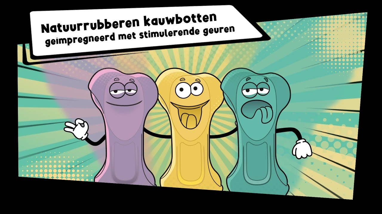 Hofman Animal Care – Brinquedo de mastigar para cão - Cão por atacado – Moodies El Tranquilo (Relax) - Ossos de borracha natural com aroma estimulante4