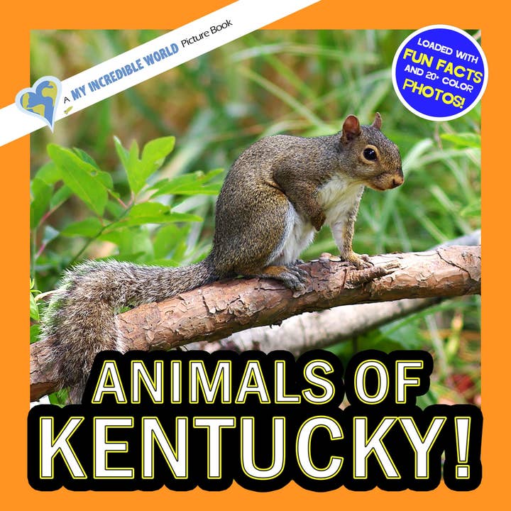 Animals of Kentucky! A My Incredible World Picture Book for Children for wholesale by My Incredible World