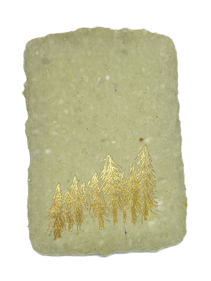 golden pines for wholesale by farmette