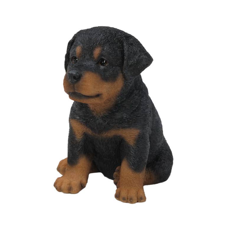Hi-Line Gift Ltd. - Wholesale Outdoor Ornament/Decor - Pet Pals: Rottweiler Puppy Statue2