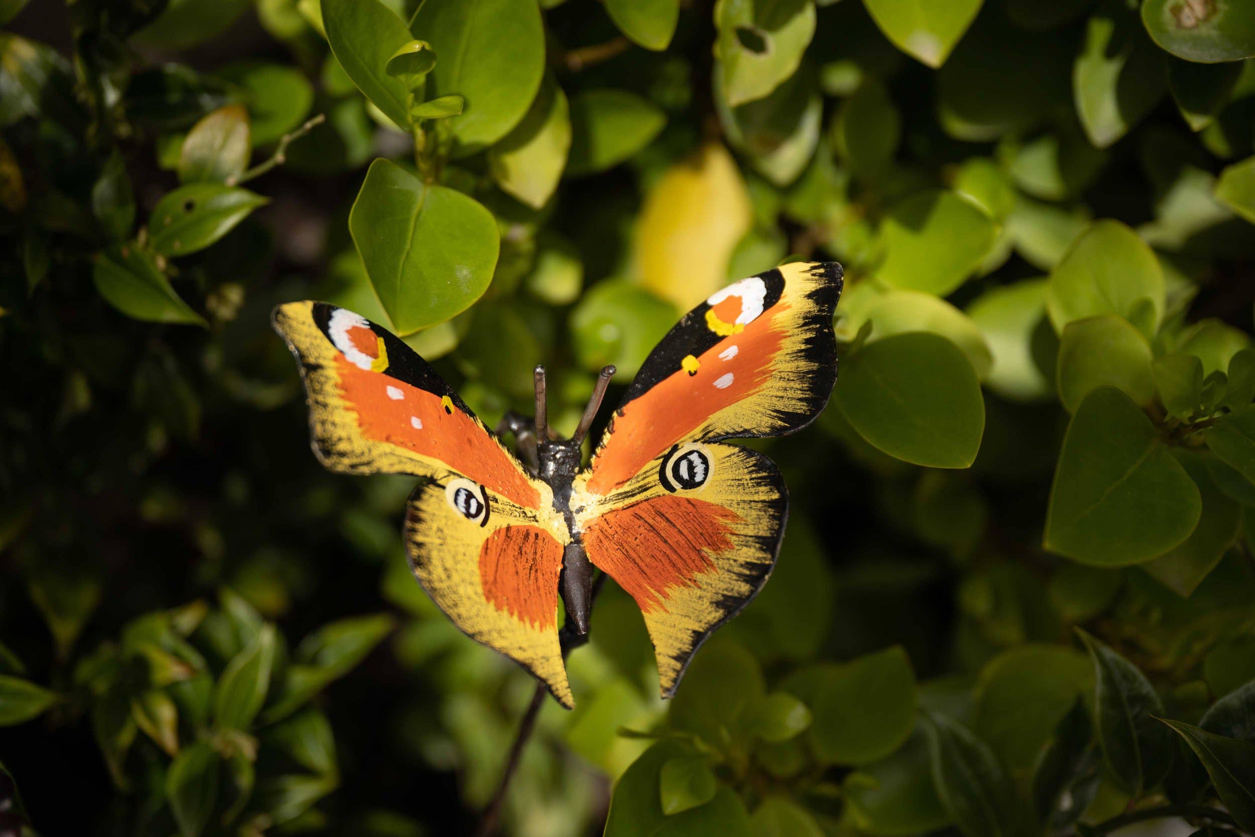 chi-africa - Wholesale Outdoor ornament/decor - Recycled Metal Garden Artwork - Peacock Butterfly On Rod