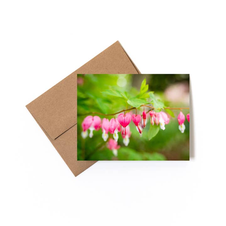 Andrea Morris Art - Wholesale Stationery/Notecard Set - Floral Card Variety Pack (5 Different Cards + Envelopes)9