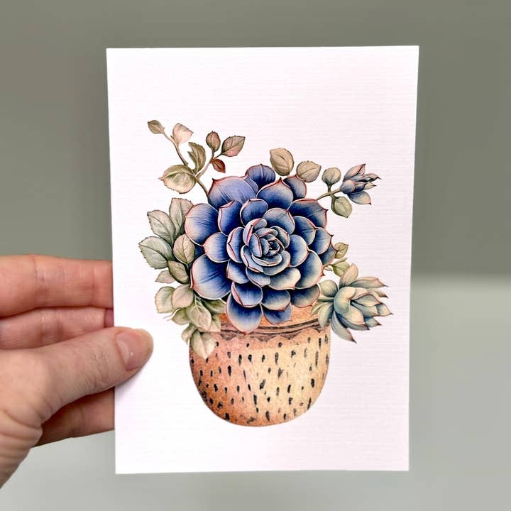 Scattered Seed Co - Wholesale Everyday greeting card - SUCCULENTS in Pots greeting cards set of 46