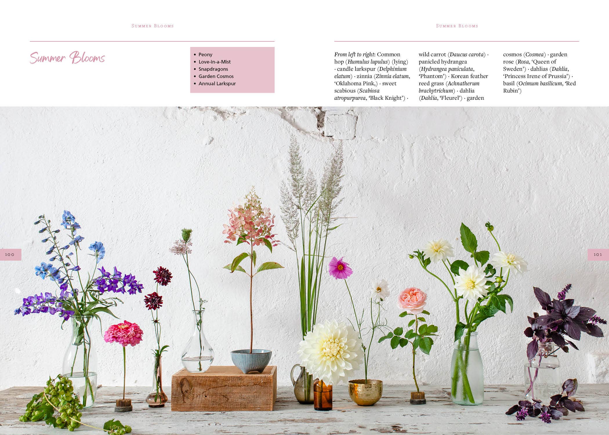 Schiffer Publishing – Großhandel Haus & Garten – Säen, Wachsen und Ernten4