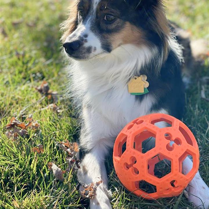 Tall Tails - Wholesale Pet Fetch Ball - Dog - GOAT Sport Flex-a-Ball Dog Toy5