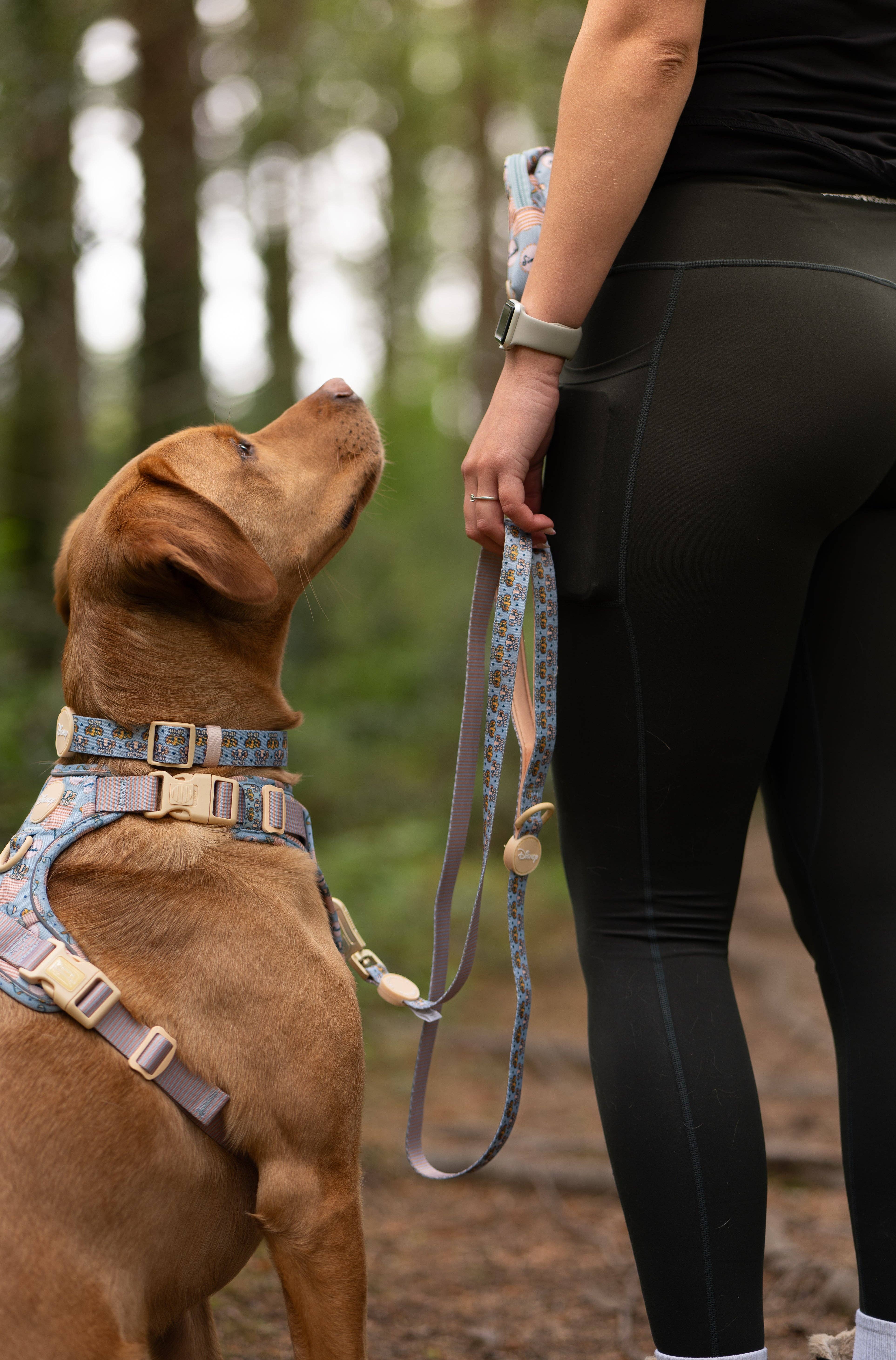 Pawsome Paws - Wholesale Pet Leash - Dog - Disney© Lead - Lion Friends3