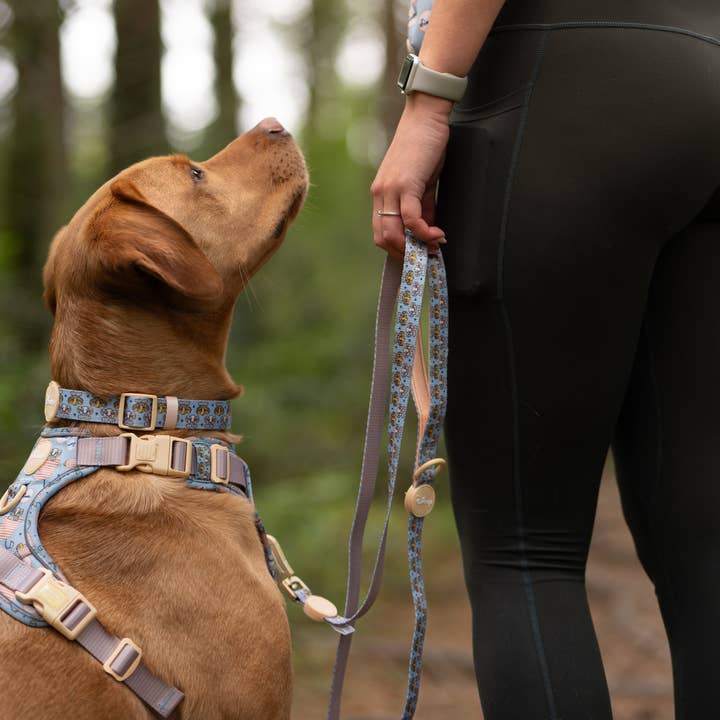 Pawsome Paws - Vendita all'ingrosso Guinzaglio - Cani - Disney© Lead - Gli amici dei leoni3