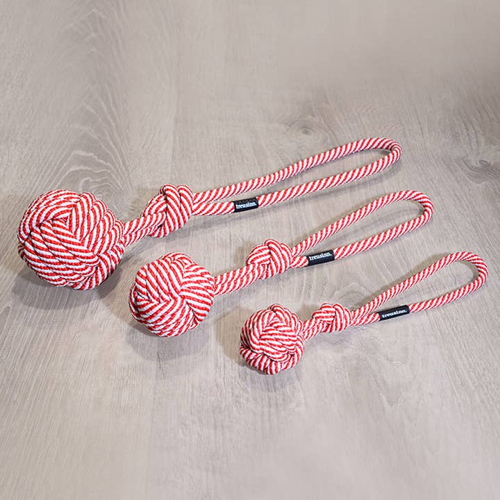 Tauspielzeug BOLLY X-Mas Hundespielzeug Geschenk für den Großhandel von treusinn.