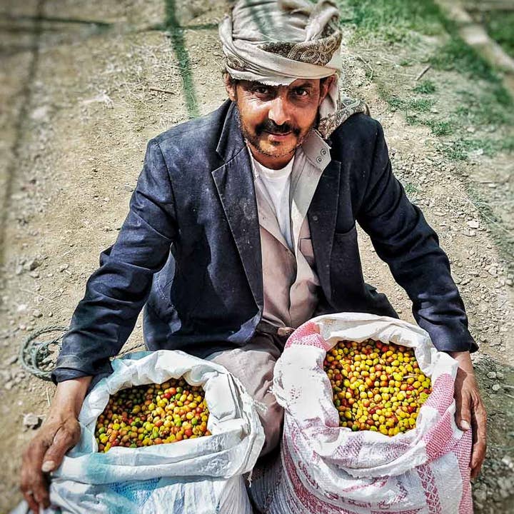 Cottonwood Coffee - Wholesale Coffee Beans - Yemen Haraaz — Exclusive Light Roast