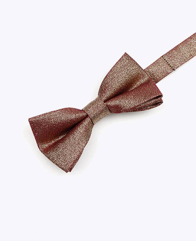 Unipap's – wholesale Flugor – Barn – Brun Glittrig Fluga nr 2 Barn i Polyester "Isidore"0