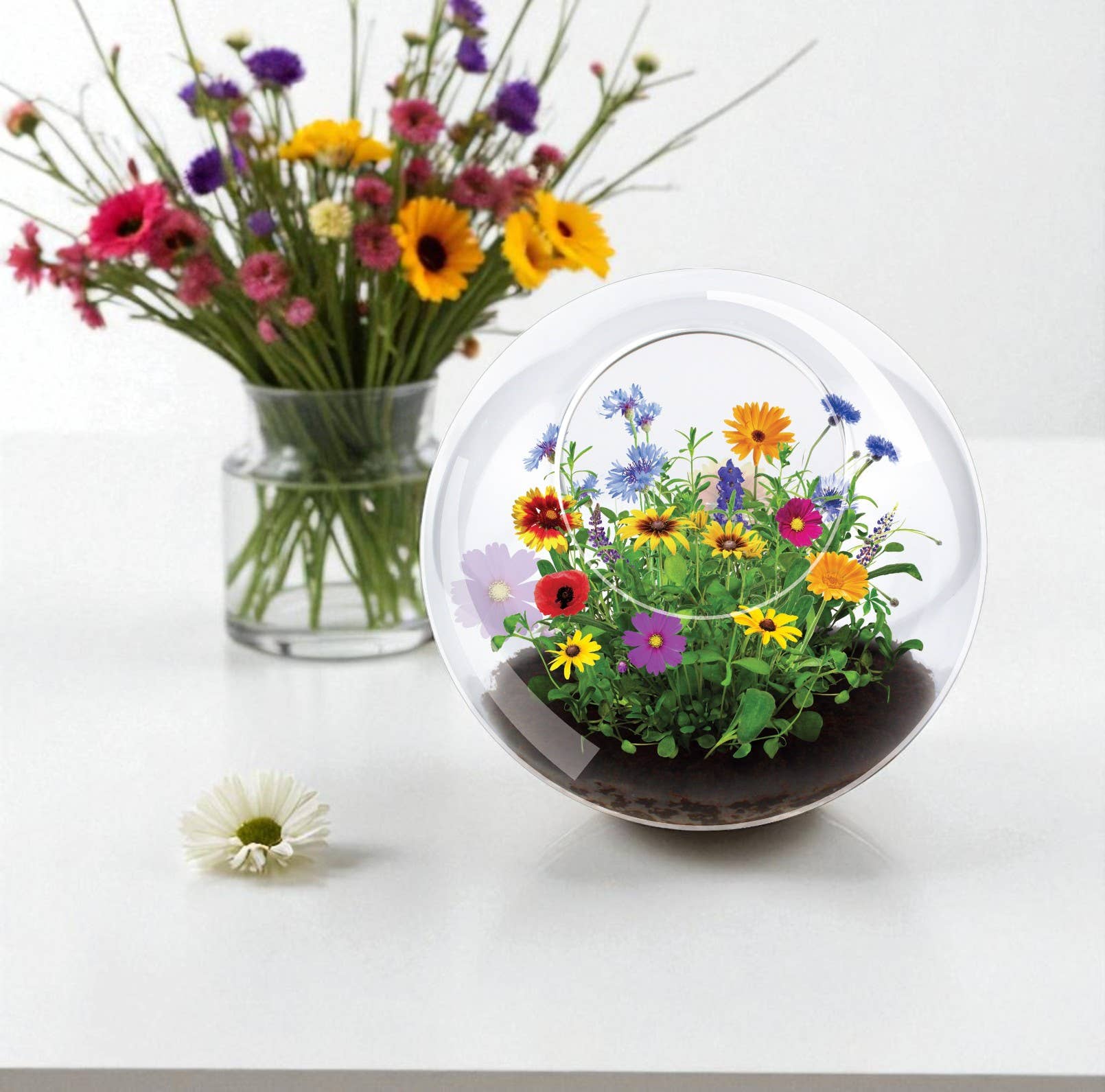 Silver Circle Products - Vente Terrariums - Terrarium en verre Wildflowers1