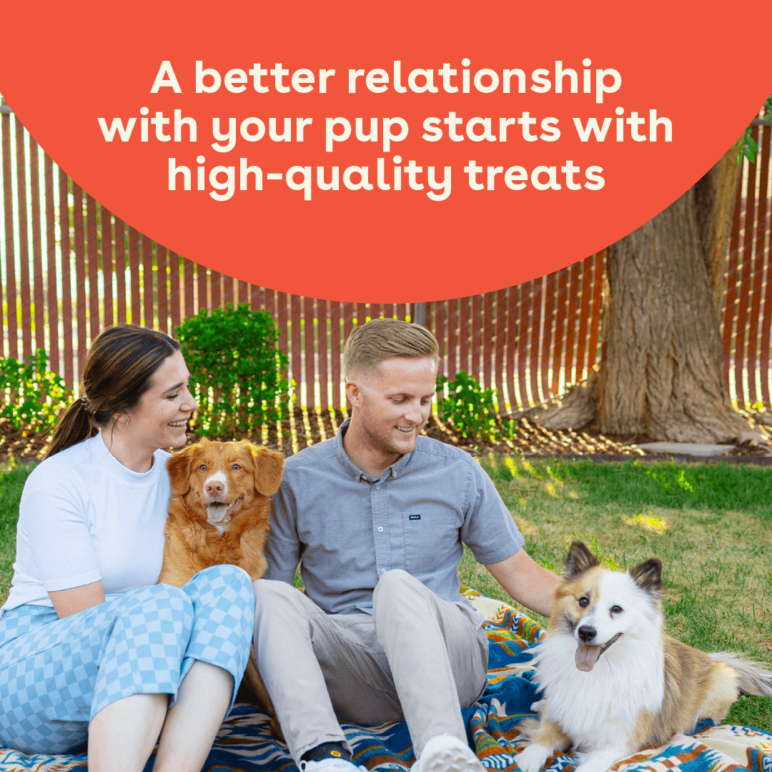 Pupford - Wholesale Pet Treats - Dog - Freeze Dried Chicken Hearts 4.25oz2