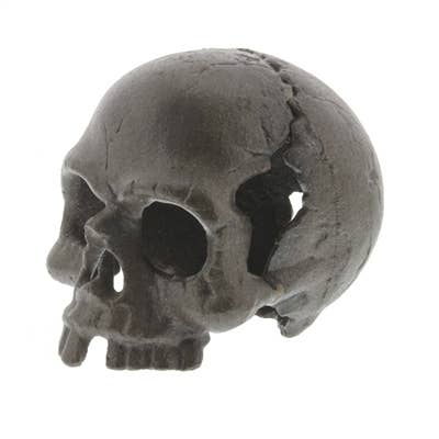 HomArt - Wholesale Decorative Tabletop Object - Skull, No Jaw - Natural1