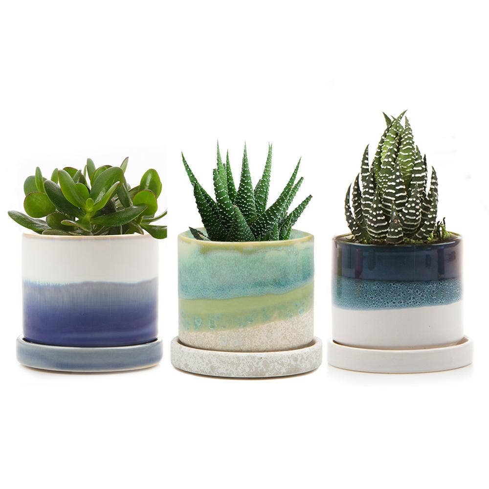 Chive UK - Wholesale Plant Pot - Minute - Glazed Modern Ceramic Pot with Saucer38