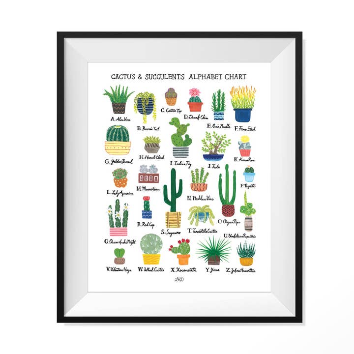 Cactus & Succulent Alphabet Chart Art Print for wholesale by LKD - Lily Kao Design