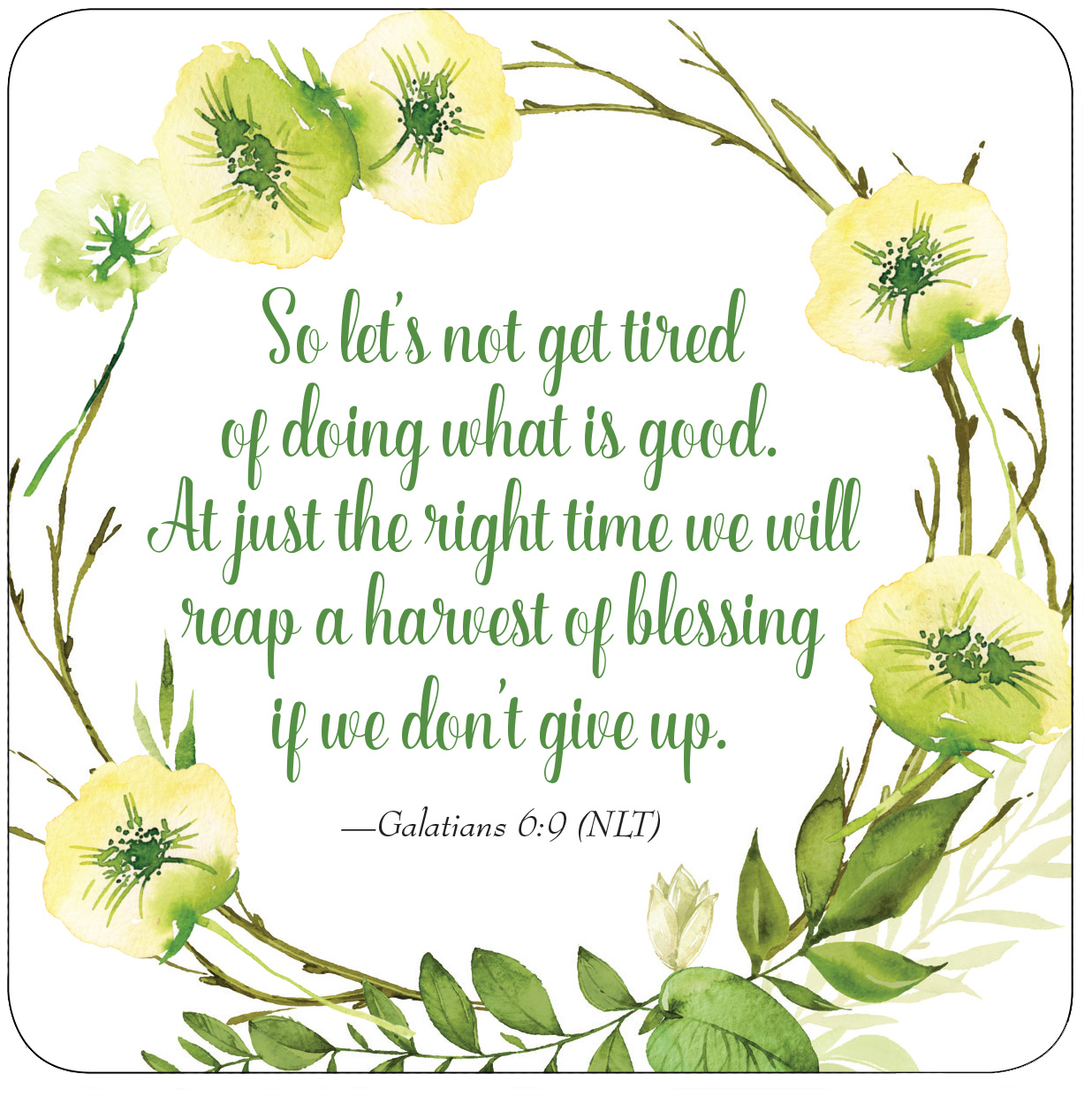 Peter Pauper Press - Wholesale Gag Gift/Novelty Gift - The Good Word Insight Cards5