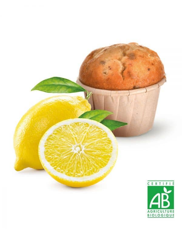 Terra Ceres - Wholesale Cake - Organic Lemon Muffin 50g