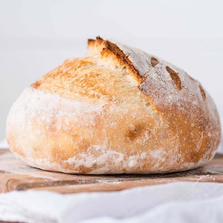 My Rustic Roots - Wholesale Bread Mix - Sourdough Starter | Freeze Dried | San Francisco Style 12gm