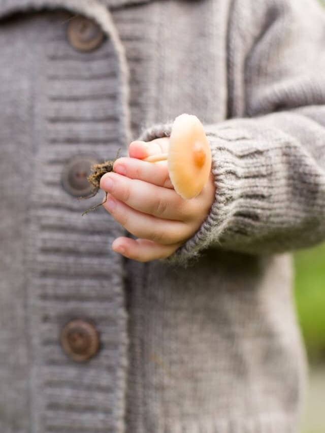 Nooks Design - Wholesale Cardigan - Kids - Narwhal Merino wool knit cardigan
