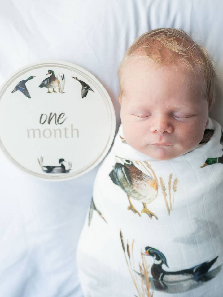 Little Duckling Milestone Cards for wholesale by Saltwater Swaddles