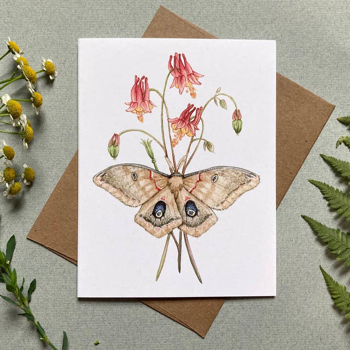 Lucinda Rowe Art - Wholesale Stationery/Notecard Set - Notecard Set - 6 Moths & Wildflowers On Blank Recycled Cards4