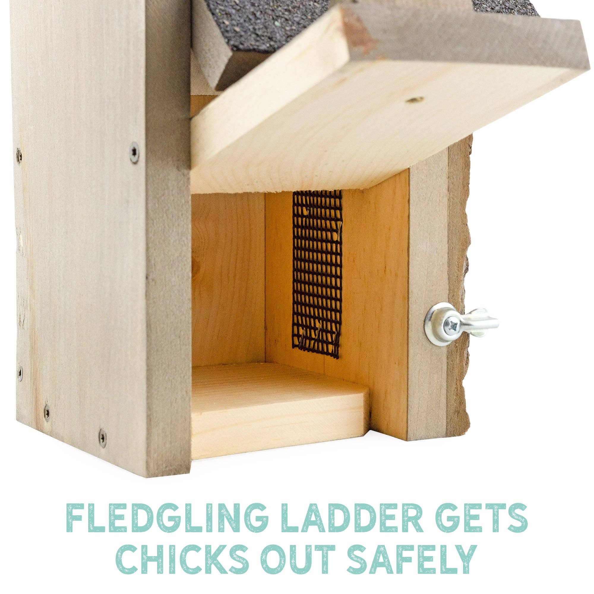 Kurated Korner – Großhandel Vogelhäuser – Onkel Dunkels ultimatives Vogelhaus von Zaunkönig und Chickadee3