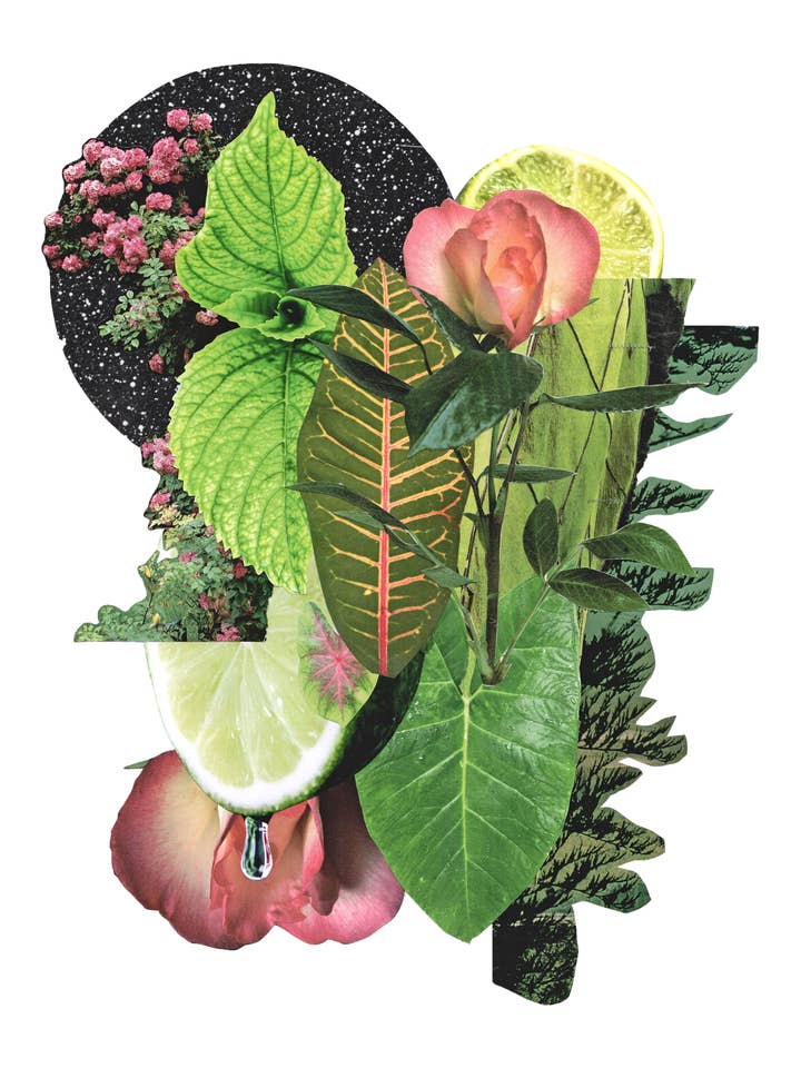 Rosengarten-Druck für den Großhandel von Elisabeth Grace