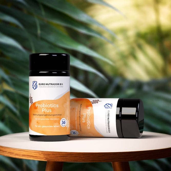 Euro Nutrador B.V. - Wholesale Oral Supplement/Vitamin - Probiotics Plus capsules1