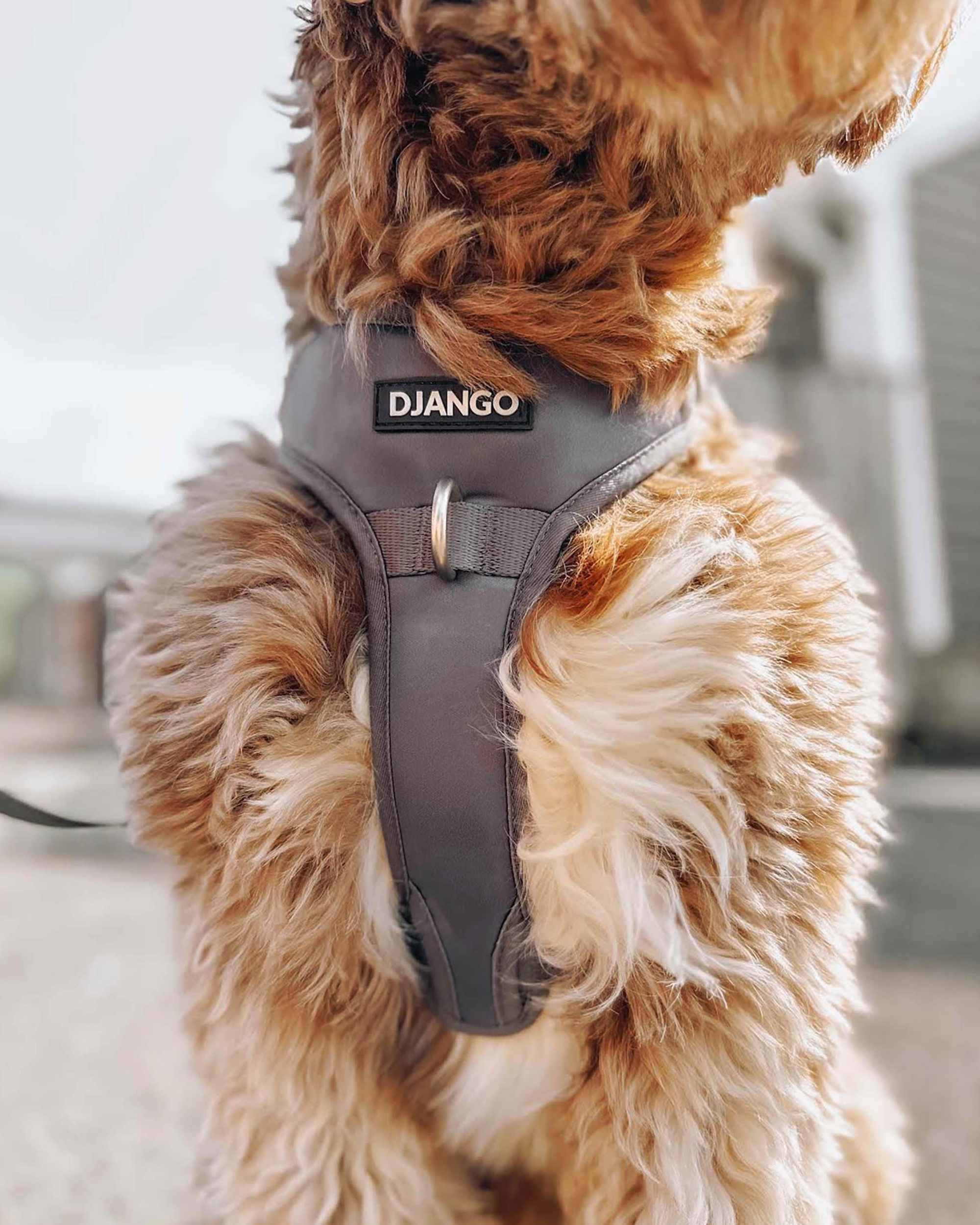 DJANGO - Wholesale Pet Harness - Dog - Tahoe No Pull Dog Harness - Poppy Seed Gray9