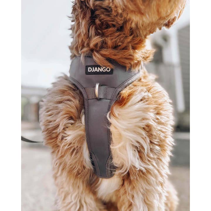 DJANGO - Wholesale Pet Harness - Dog - Tahoe No Pull Dog Harness - Poppy Seed Gray9