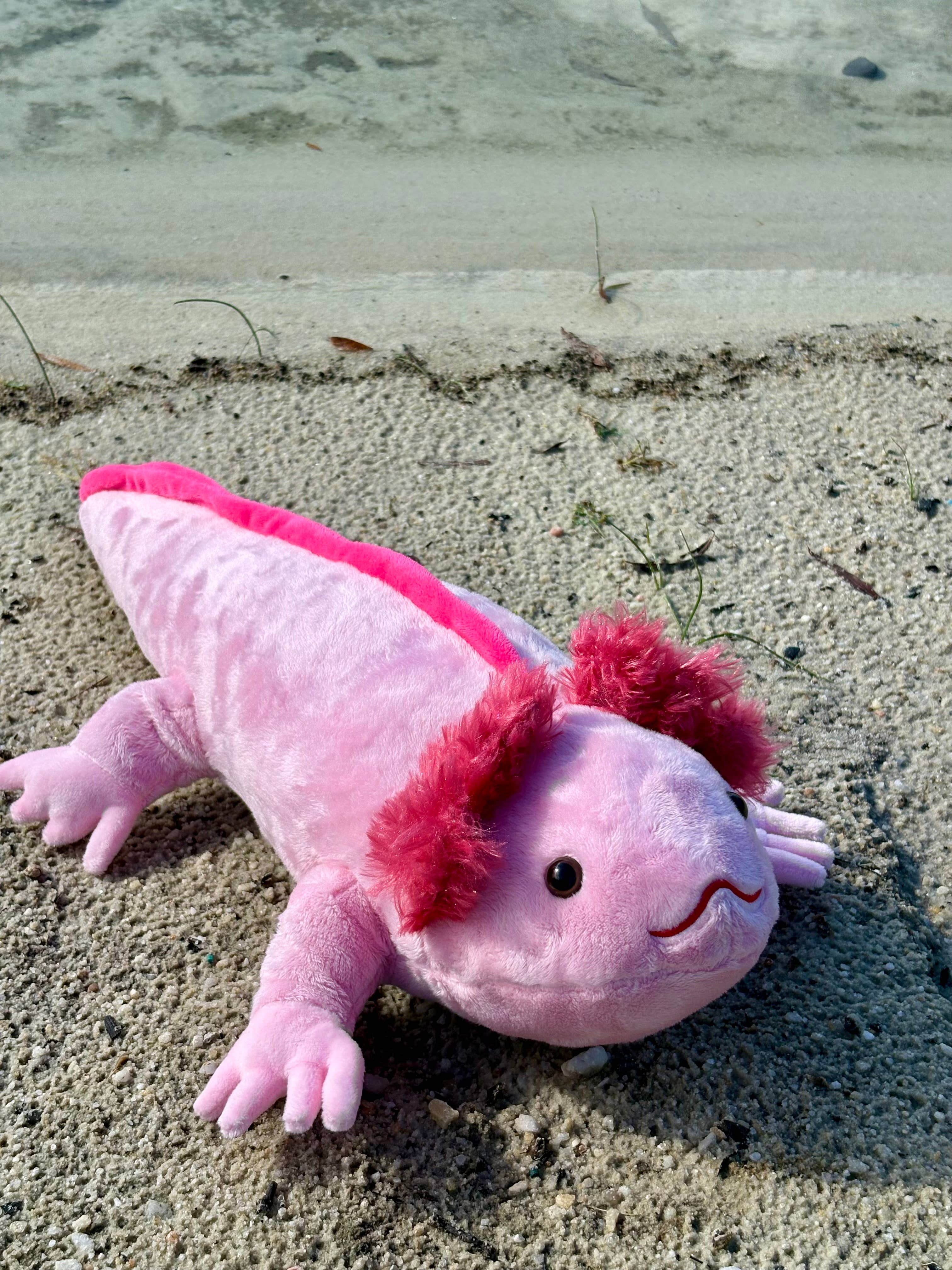 The Petting Zoo - Wholesale Stuffed/Plush Toy - Kids & Baby - 21" (51cm) Medium Axolotl Sea Life2