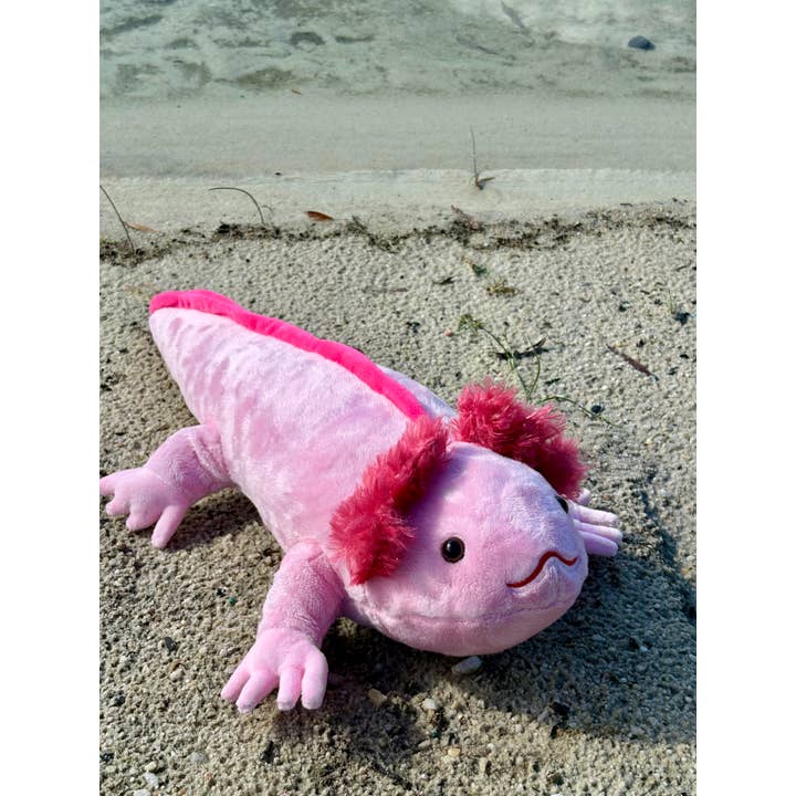 The Petting Zoo - Wholesale Stuffed/Plush Toy - Kids & Baby - 21" (51cm) Medium Axolotl Sea Life2