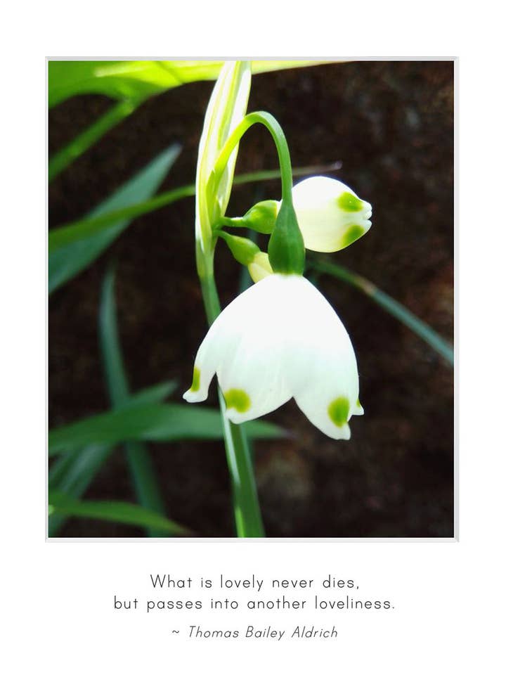 B743 - Spring Snowflakes for wholesale by Stonehenge Designs