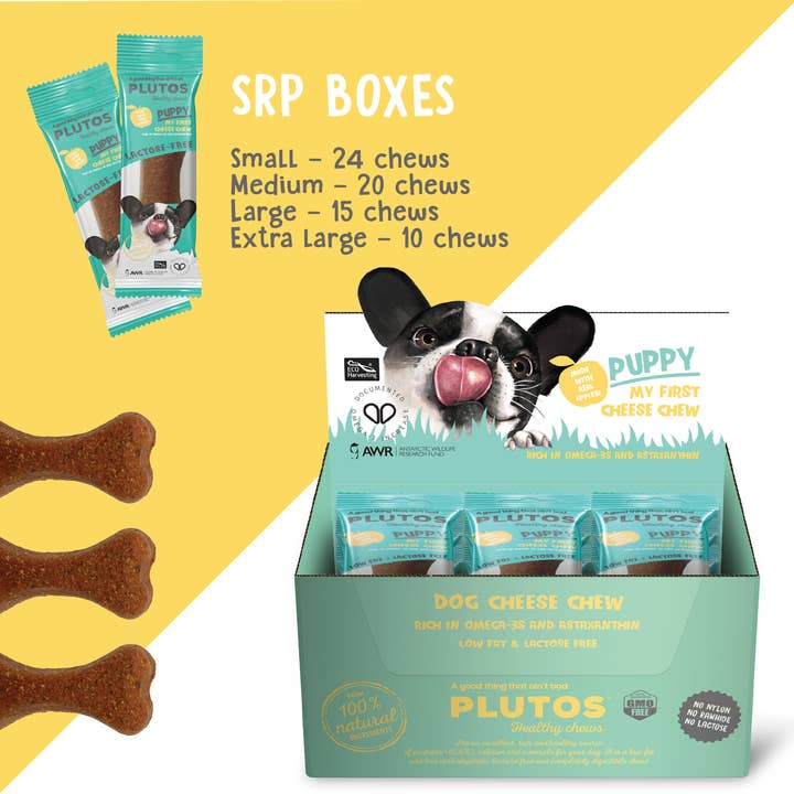 PLUTOS CHEWS - Wholesale Pet Treats - Dog - Puppie Dog Dental Chew "My first cheese chew" M (20)3