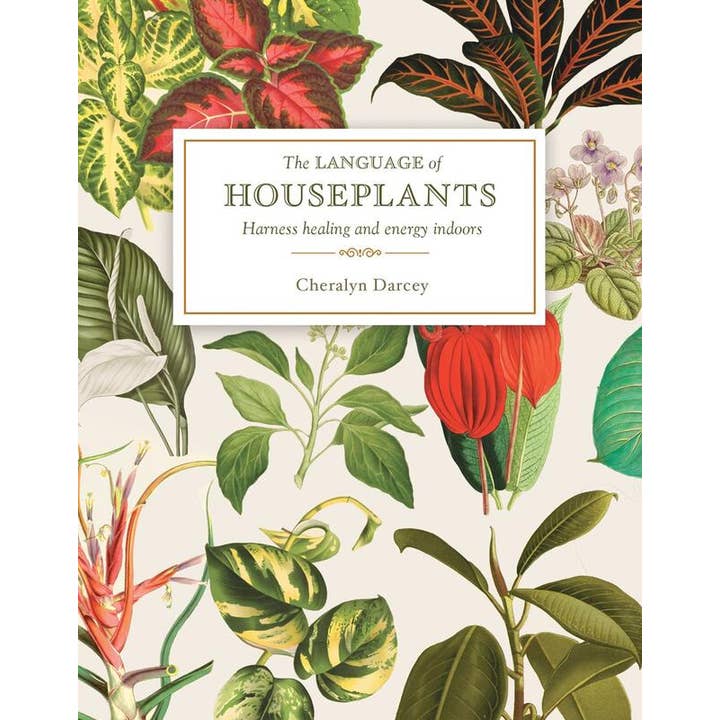 Microcosm Publishing & Distribution - Wholesale Book - Adult - Language of Houseplants