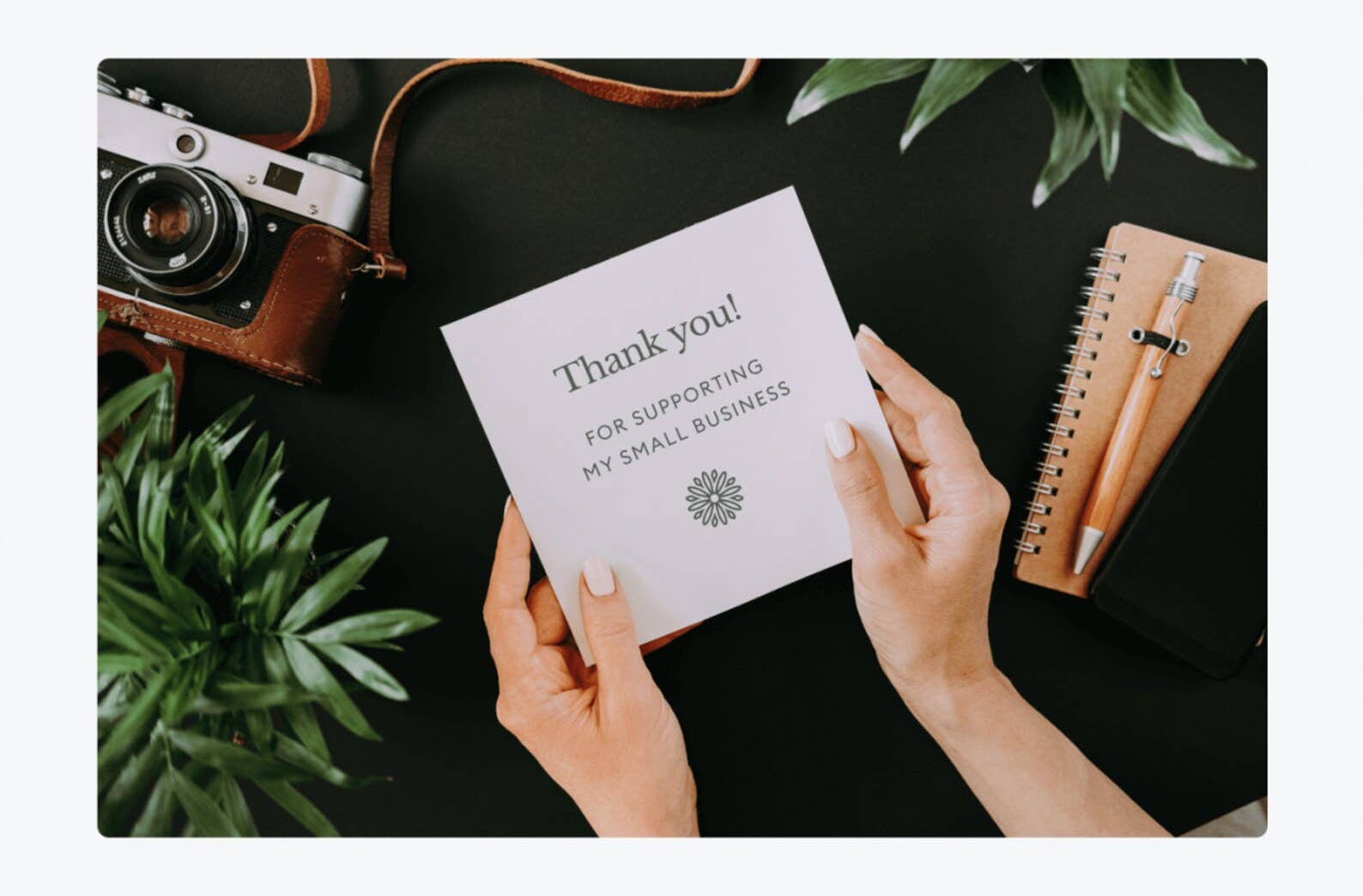 DarKech - Wholesale Slippers - Women's - Womens Moroccan Babouche Slippers Handmade from Soft Organic3