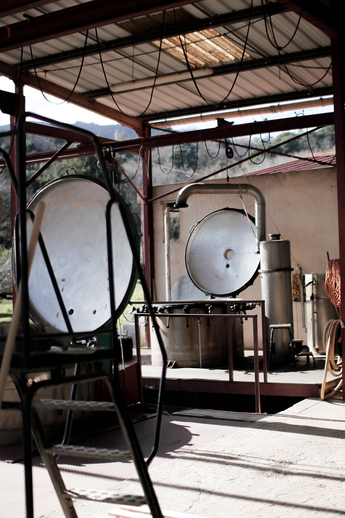 Essences Naturelles Corses - Wholesale Essential Oil - Cistus bio - Essential oil - Aromatherapy - 5ml4