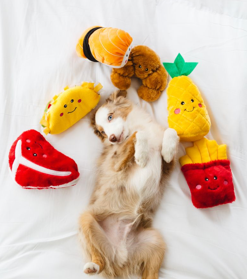ZippyPaws - Vente Peluche – chien - NomNomz® - Sushi - Jouet pour chien4
