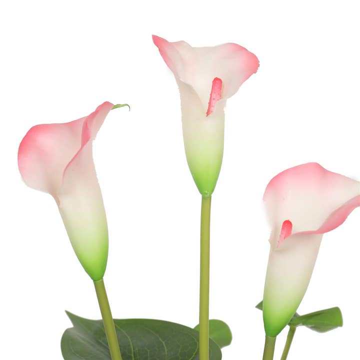 Designer Plants AU - Wholesale Artificial flowers - Artificial Flowering White & Pink Peace Lily / Calla Lily Plant 50cm1