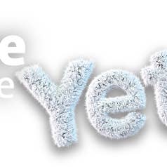 Mad Honey Supply - Vendita all'ingrosso Miele - Miele Yeti Mad all'ingrosso dal Nepal scatola da 100 ct 550 grammi