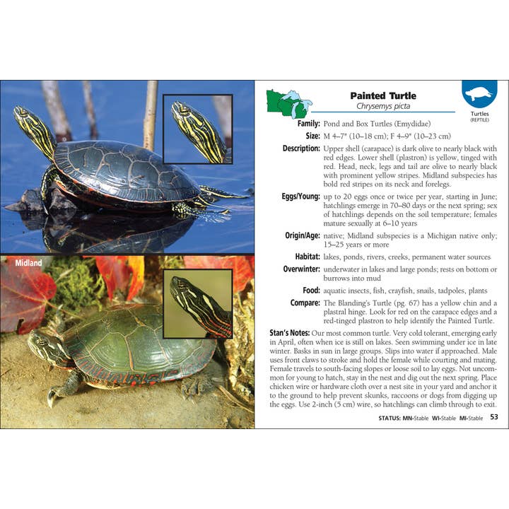 AdventureKEEN - Wholesale Nature & Outdoors - Reptiles & Amphibians of MN, WI, MI1