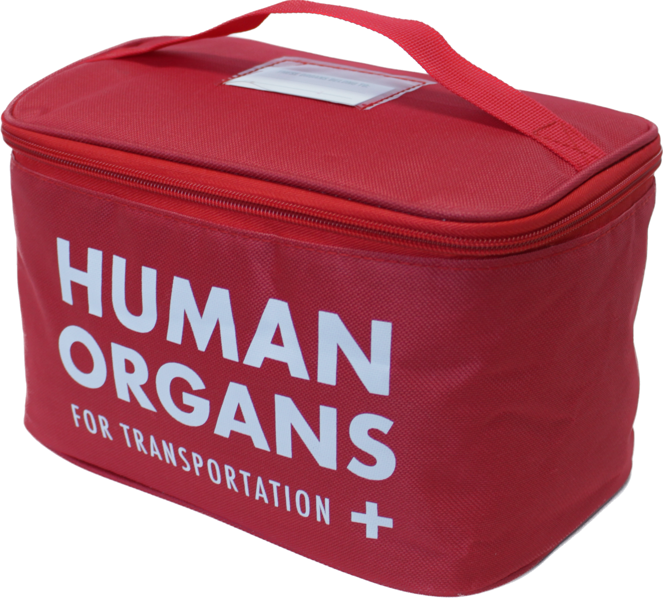 The Diabolical Gift People - Novelty Gifts, Christmas Gifts – wholesale Lunch bag/box – Human Organs Lunch Bag - Father's Day, Back to School3