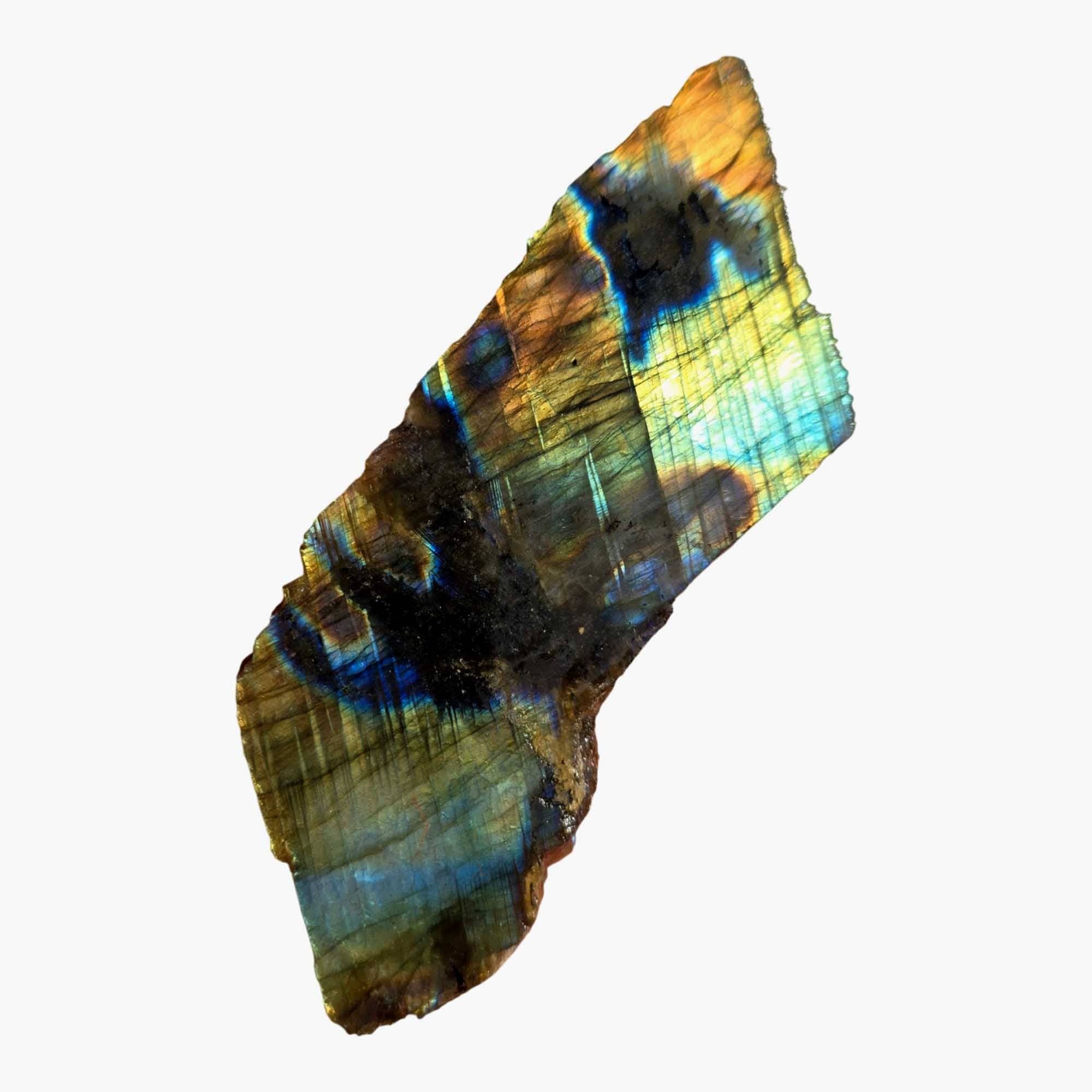 Lapidary Central - Wholesale Spiritual Stone/Crystal - Labradorite Slab - Green Blue Flash - Color Play Display3