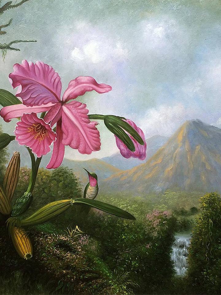 Orkidé och kolibri nära ett bergsfall, 1902 för wholesale av La Pastiche