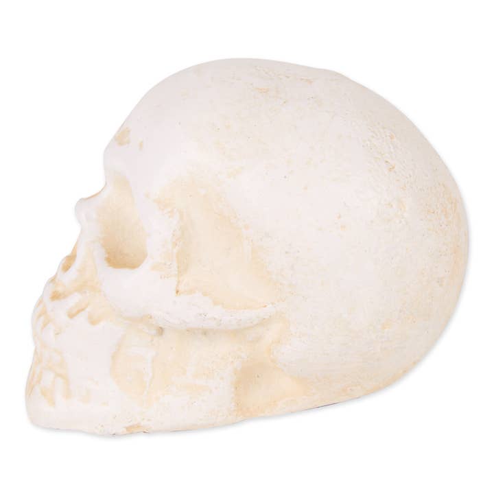 Zingz Home - Wholesale Paper Weight - Human Skull Cast Iron Paperweight1