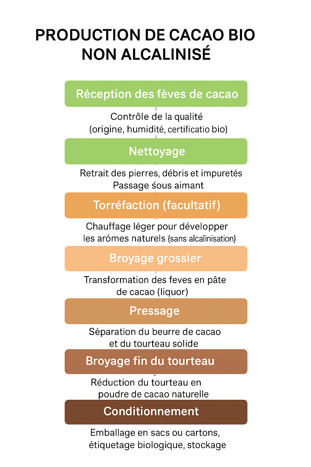Bioptimal - Venta al por mayor Proteínas y superalimentos en polvo - Cacao en polvo orgánico - Bioptimal7
