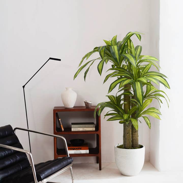 5' Artificial Dracaena Tree for wholesale by Maia Shop