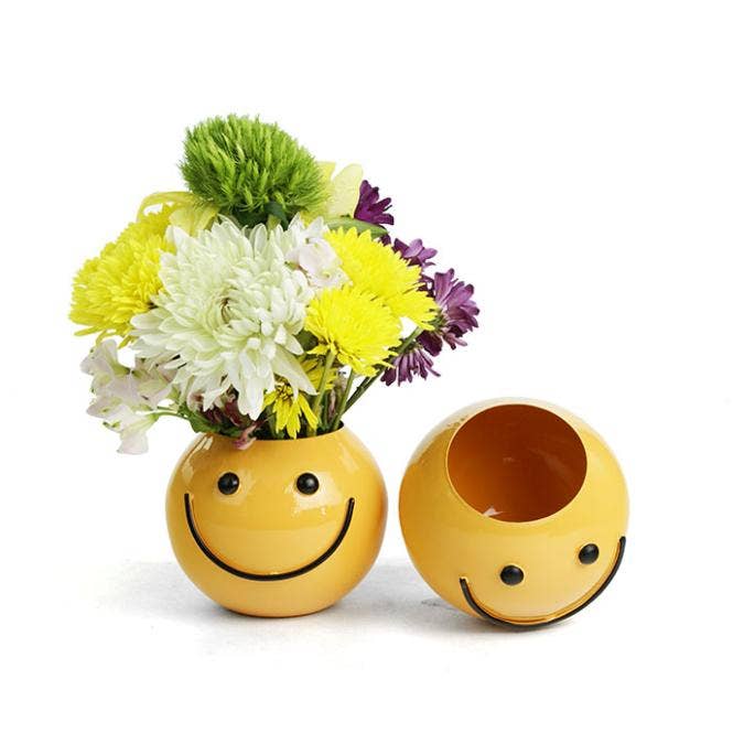 Buhi Imports - Wholesale Vaas - Waterdichte metalen vaas met glimlachend gezicht, 13 cm1