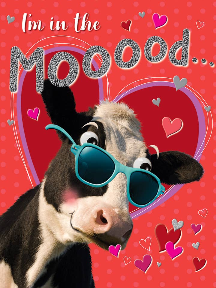 Carte de Saint-Valentin, Ouverte, Vache pour la vente par Piccadilly Greetings