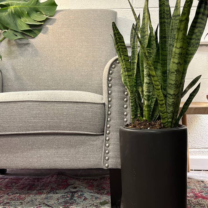 UPshining - Wholesale Plant Pot - 9.5" Ceramic Tall Planter(Plant Not Included)1